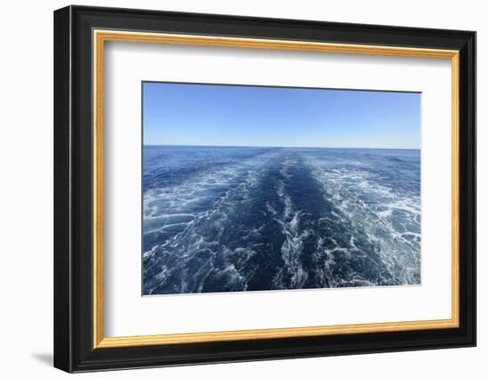 Water trail of cruise ship, Greenland Sea, Arctic Ocean, Arctic-Raimund Linke-Framed Photographic Print