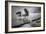 Water Tree 10 BW-Moises Levy-Framed Photographic Print