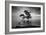 Water Tree 11 BW-Moises Levy-Framed Photographic Print