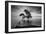 Water Tree 11 BW-Moises Levy-Framed Photographic Print