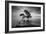 Water Tree 11 BW-Moises Levy-Framed Photographic Print