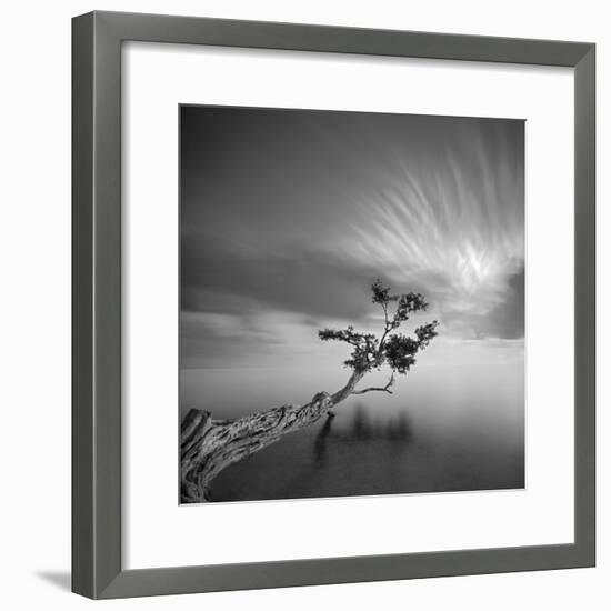 Water Tree 3-Moises Levy-Framed Photographic Print