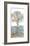 Water Tree II-Stephane Fontaine-Framed Giclee Print