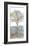 Water Tree II-Stephane Fontaine-Framed Giclee Print