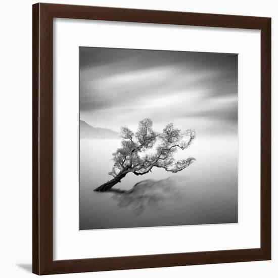 Water Tree VI-Moises Levy-Framed Photographic Print