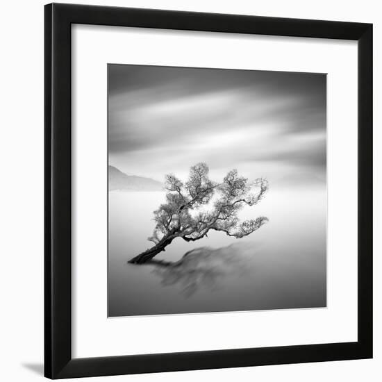 Water Tree VI-Moises Levy-Framed Photographic Print