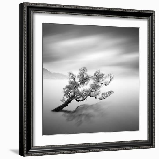 Water Tree VI-Moises Levy-Framed Photographic Print