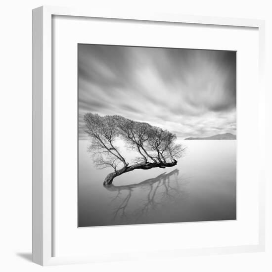 Water Tree VII-Moises Levy-Framed Photographic Print