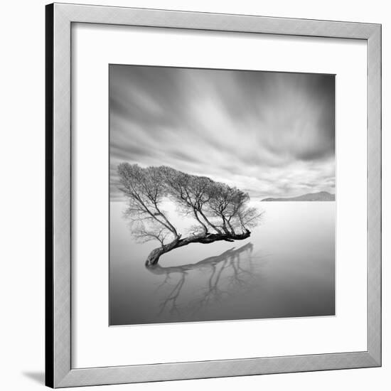 Water Tree VII-Moises Levy-Framed Photographic Print