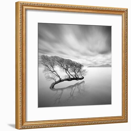 Water Tree VII-Moises Levy-Framed Photographic Print