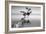 Water Tree XII-Moises Levy-Framed Photographic Print