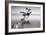 Water Tree XII-Moises Levy-Framed Photographic Print