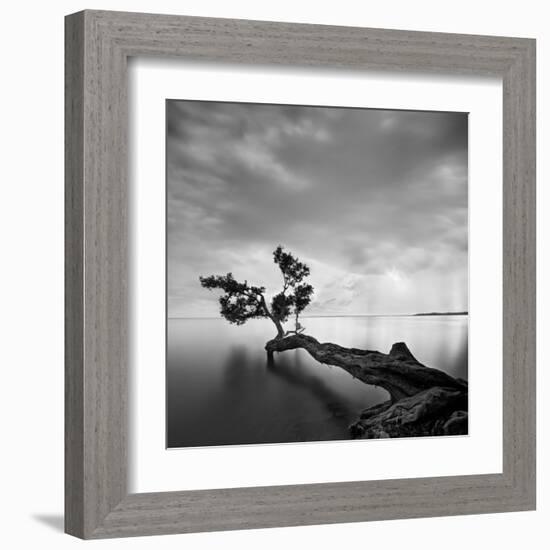 Water Tree-Moises Levy-Framed Art Print