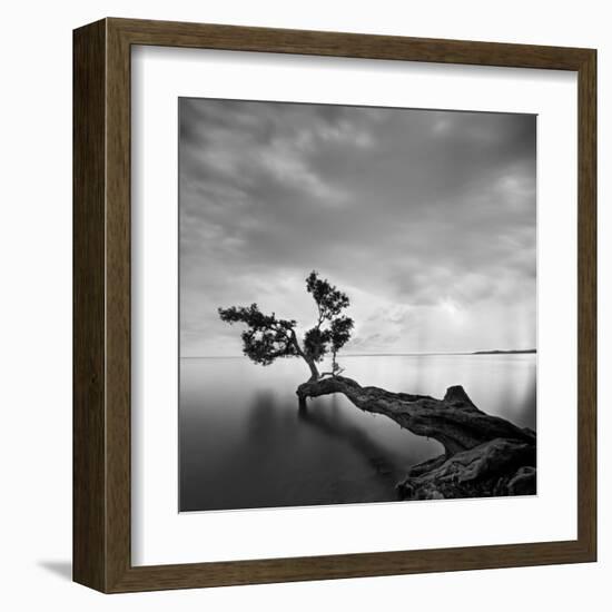 Water Tree-Moises Levy-Framed Art Print