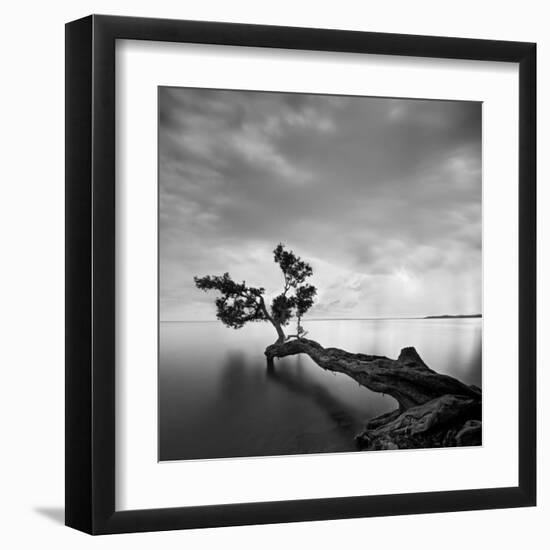 Water Tree-Moises Levy-Framed Art Print