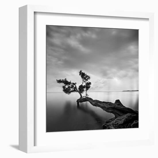 Water Tree-Moises Levy-Framed Art Print