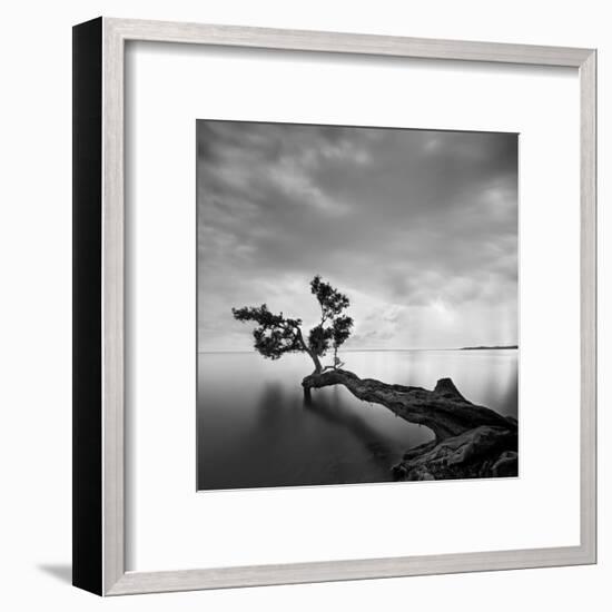 Water Tree-Moises Levy-Framed Art Print