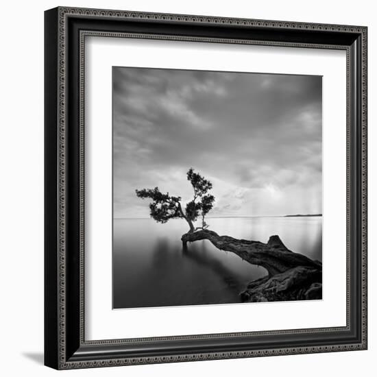 Water Tree-Moises Levy-Framed Art Print