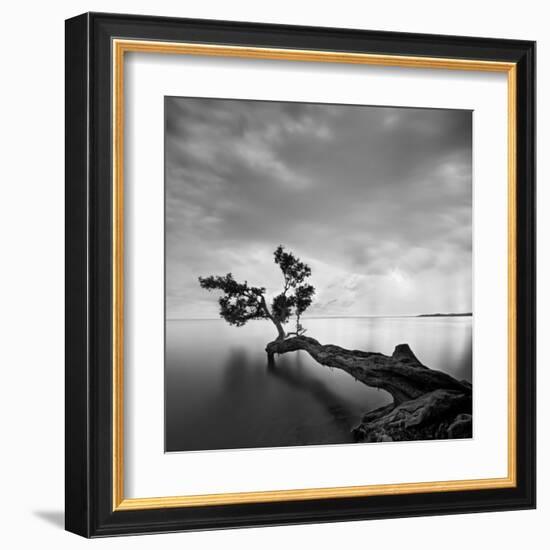 Water Tree-Moises Levy-Framed Art Print