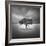 Water VIII-Moises Levy-Framed Photographic Print