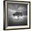 Water VIII-Moises Levy-Framed Photographic Print