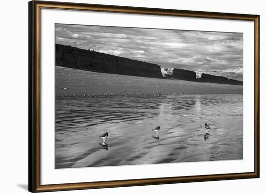 Water Waders-Andrew Geiger-Framed Giclee Print