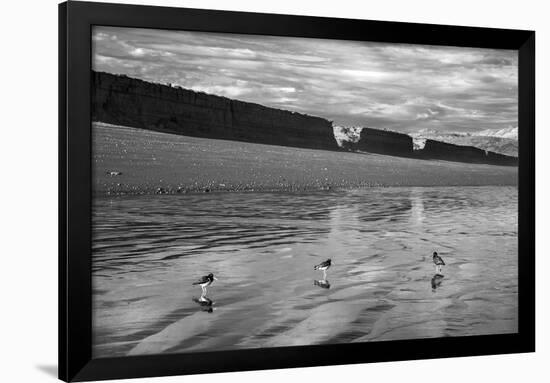 Water Waders-Andrew Geiger-Framed Giclee Print