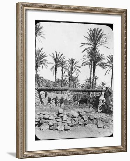 Water Wheel, Egypt, C1890-Newton & Co-Framed Photographic Print