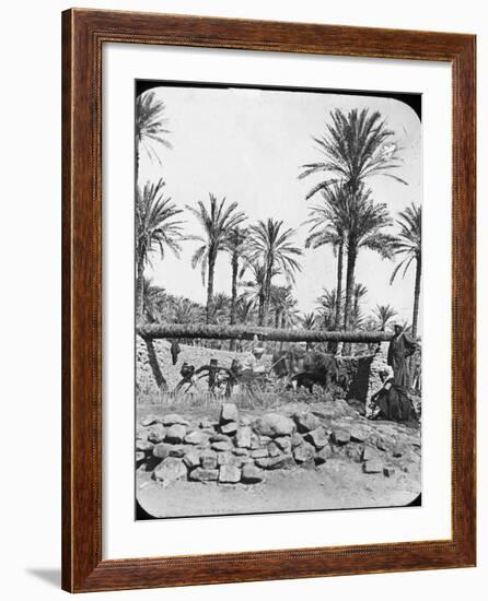 Water Wheel, Egypt, C1890-Newton & Co-Framed Photographic Print