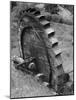 Water Wheel-Brenda Petrella Photography LLC-Mounted Giclee Print