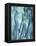 Water Women II-null-Framed Stretched Canvas