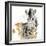 Water Zebra with Gold-Patricia Pinto-Framed Art Print