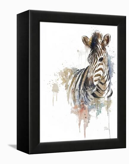 Water Zebra-Patricia Pinto-Framed Stretched Canvas