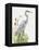 Waterbirds & Cattails I-Naomi McCavitt-Framed Stretched Canvas