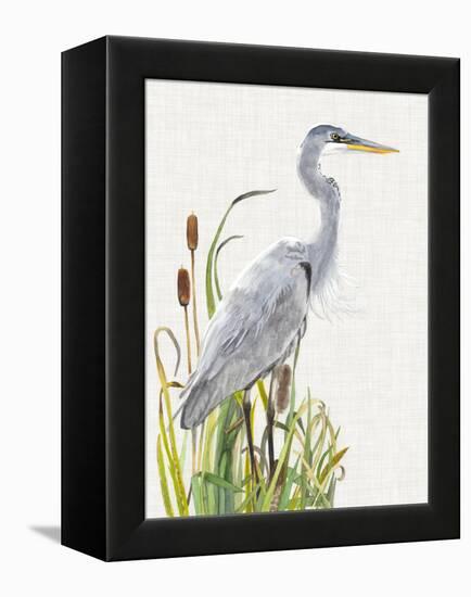 Waterbirds & Cattails I-Naomi McCavitt-Framed Stretched Canvas