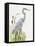 Waterbirds & Cattails I-Naomi McCavitt-Framed Stretched Canvas