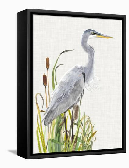 Waterbirds & Cattails I-Naomi McCavitt-Framed Stretched Canvas