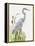 Waterbirds & Cattails I-Naomi McCavitt-Framed Stretched Canvas