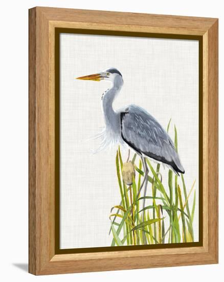 Waterbirds & Cattails II-Naomi McCavitt-Framed Stretched Canvas