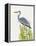 Waterbirds & Cattails II-Naomi McCavitt-Framed Stretched Canvas