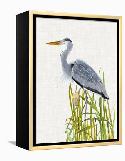 Waterbirds & Cattails II-Naomi McCavitt-Framed Stretched Canvas