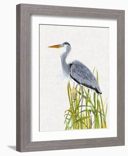 Waterbirds & Cattails II-Naomi McCavitt-Framed Art Print