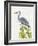 Waterbirds & Cattails II-Naomi McCavitt-Framed Art Print