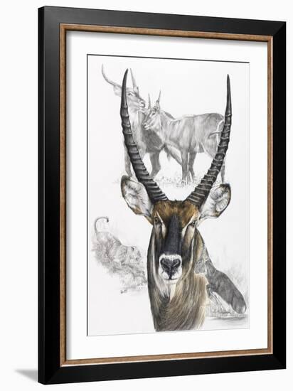 Waterbuck-Barbara Keith-Framed Giclee Print