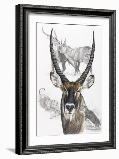 Waterbuck-Barbara Keith-Framed Giclee Print