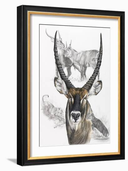 Waterbuck-Barbara Keith-Framed Giclee Print