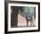 Waterbuck-Scott Bennion-Framed Photo