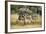 Waterbucks (Kobus Ellipsiprymnus) and African Bush Elephants (Loxodonta Africana)-Michael Runkel-Framed Photographic Print