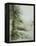 Watercolor 030306-Pol Ledent-Framed Stretched Canvas