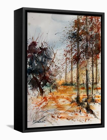 Watercolor 040902-Pol Ledent-Framed Stretched Canvas